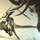 Bhai bachitar singh.thumb